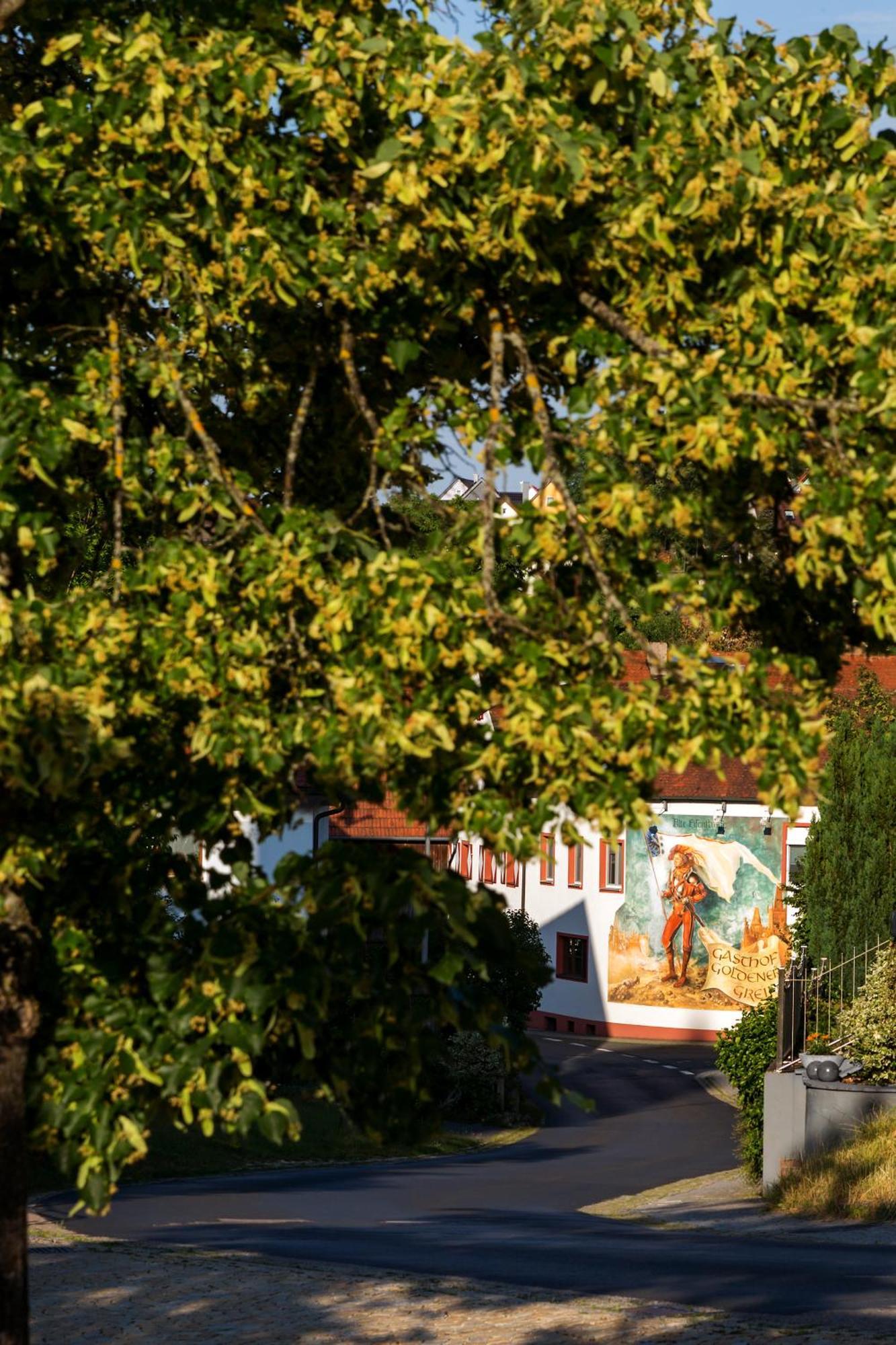 Wirtshaus & Hotel Goldener Greif Edelsfeld ภายนอก รูปภาพ